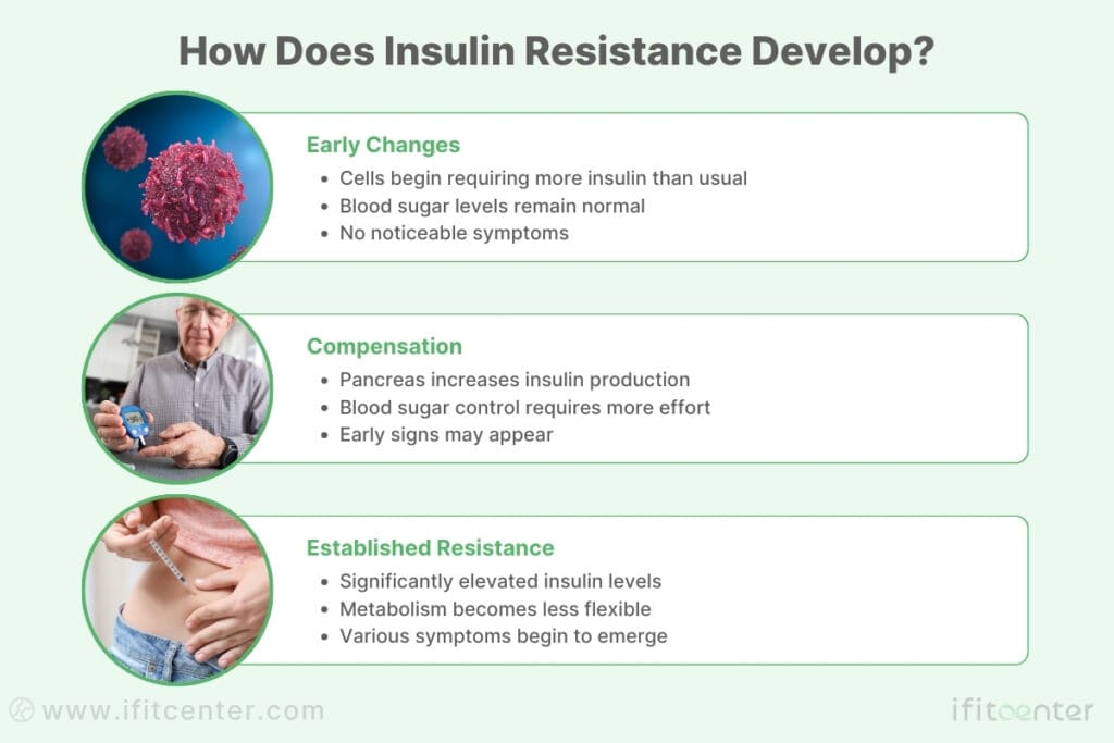 understanding insulin resistance