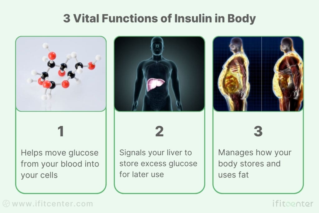 definition of insulin resistance