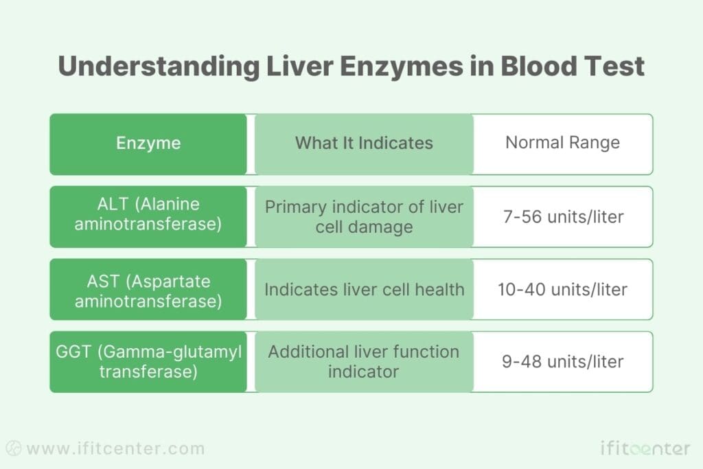 Blood Tests_ Understanding Liver Enzymes